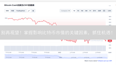 别再观望！掌握影响比特币市值的关键因素，抓住机遇！