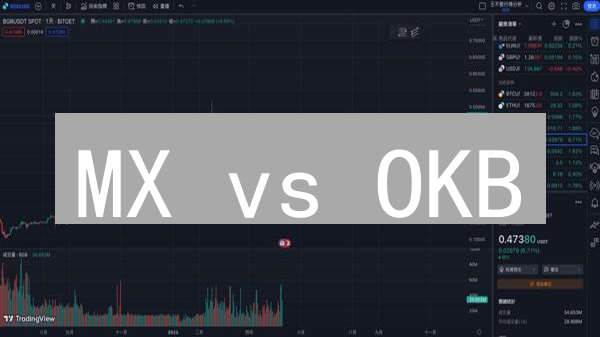 MX vs OKB：哪个平台币更值得投资？抓住最后机会！