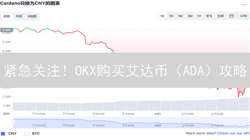 紧急关注！OKX购买艾达币（ADA）攻略：新手也能轻松上手！